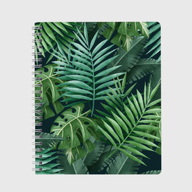 Тетрадь с принтом Тропики в Белгороде, 100% бумага | 48 листов, плотность листов — 60 г/м2, плотность картонной обложки — 250 г/м2. Листы скреплены сбоку удобной пружинной спиралью. Уголки страниц и обложки скругленные. Цвет линий — светло-серый
 | Тематика изображения на принте: summer | банановая | банановые | джунгли | зелень | краски | летняя | лето | листики | листы | листья | надпись | настроение | отдых | отпуск | пальма | пальмовые | пальмы | папоротник | пляжная | позитив
