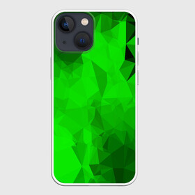 Чехол для iPhone 13 mini с принтом GREEN в Белгороде,  |  | abstract | abstraction | color | fractal | geometry | paitnt | polygon | polygonal | psy | абстракция | геометрия | краски | неоновые | полигоны | психоделика | фрактал