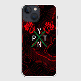 Чехол для iPhone 13 mini с принтом ТИКТОКЕР   PAYTON MOORMEIE. в Белгороде,  |  | payton | payton moormeie | pytn | rose | блогер | знаменитость | пейтон | пейтон моормиер | тиктоенр