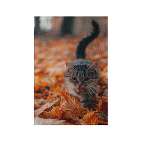 Обложка для паспорта матовая кожа с принтом мяукающий кот осенние листья в Белгороде, натуральная матовая кожа | размер 19,3 х 13,7 см; прозрачные пластиковые крепления | Тематика изображения на принте: золотая осень | кот | кошка | крик | листва | листья | мяу | мяукает | осень | сезон | уличный котейка