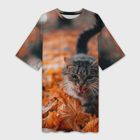 Платье-футболка 3D с принтом мяукающий кот осенние листья в Белгороде,  |  | золотая осень | кот | кошка | крик | листва | листья | мяу | мяукает | осень | сезон | уличный котейка