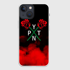 Чехол для iPhone 13 mini с принтом PYTN X ROSE. в Белгороде,  |  | payton | payton moormeie | pytn | rose | блогер | знаменитость | пейтон | пейтон моормиер | тиктоенр