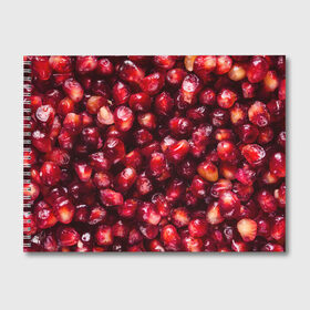 Альбом для рисования с принтом много ягод граната ярко сочно в Белгороде, 100% бумага
 | матовая бумага, плотность 200 мг. | Тематика изображения на принте: вкусно | гранат | гранатовый бум | зерна | зож | лето | польза | сочно | фрукты | фрутерианство | ягоды | ярко