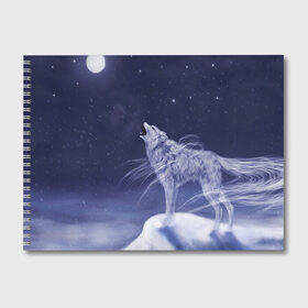 Альбом для рисования с принтом WOLF WHITE(D) в Белгороде, 100% бумага
 | матовая бумага, плотность 200 мг. | wolf | волк | волки | волчица | животные | одинокий волк