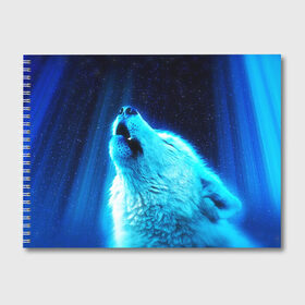 Альбом для рисования с принтом ВОЛЧИЙ ВОЙ(D) в Белгороде, 100% бумага
 | матовая бумага, плотность 200 мг. | Тематика изображения на принте: wolf | волк | волки | волчица | животные | одинокий волк