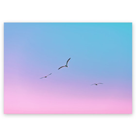 Поздравительная открытка с принтом чайки птицы полет градиент в Белгороде, 100% бумага | плотность бумаги 280 г/м2, матовая, на обратной стороне линовка и место для марки
 | градиент | закат | минимализм | небо | полет | природа | просто | птицы | рассвет | чайки