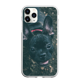 Чехол для iPhone 11 Pro Max матовый с принтом Бульдог морда собакена черного в Белгороде, Силикон |  | Тематика изображения на принте: бульдог | гав | глаза | любимец | любителю животных | ошейник | пес | песель | песик | питомец | псина | псинка | собака | собакен | собачка | собачник | уши | черный | язык