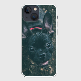 Чехол для iPhone 13 mini с принтом Бульдог морда собакена черного в Белгороде,  |  | Тематика изображения на принте: бульдог | гав | глаза | любимец | любителю животных | ошейник | пес | песель | песик | питомец | псина | псинка | собака | собакен | собачка | собачник | уши | черный | язык
