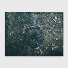 Обложка для студенческого билета с принтом Бульдог морда собакена черного в Белгороде, натуральная кожа | Размер: 11*8 см; Печать на всей внешней стороне | бульдог | гав | глаза | любимец | любителю животных | ошейник | пес | песель | песик | питомец | псина | псинка | собака | собакен | собачка | собачник | уши | черный | язык