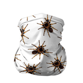 Бандана-труба 3D с принтом В пауках в Белгороде, 100% полиэстер, ткань с особыми свойствами — Activecool | плотность 150‒180 г/м2; хорошо тянется, но сохраняет форму | pattern | spider | джунгли | дикие | животные | жуки | звери | лапы | мерзкие | монстр | насекомые | паттерн | паук | пауки | паутина | паучок | птицеед | страшный | существа | тараканы | тарантул | тропики