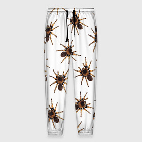 Мужские брюки 3D с принтом В пауках в Белгороде, 100% полиэстер | манжеты по низу, эластичный пояс регулируется шнурком, по бокам два кармана без застежек, внутренняя часть кармана из мелкой сетки | pattern | spider | джунгли | дикие | животные | жуки | звери | лапы | мерзкие | монстр | насекомые | паттерн | паук | пауки | паутина | паучок | птицеед | страшный | существа | тараканы | тарантул | тропики