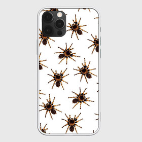 Чехол для iPhone 12 Pro Max с принтом В пауках в Белгороде, Силикон |  | pattern | spider | джунгли | дикие | животные | жуки | звери | лапы | мерзкие | монстр | насекомые | паттерн | паук | пауки | паутина | паучок | птицеед | страшный | существа | тараканы | тарантул | тропики