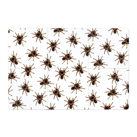 Магнитный плакат 3Х2 с принтом В пауках в Белгороде, Полимерный материал с магнитным слоем | 6 деталей размером 9*9 см | pattern | spider | джунгли | дикие | животные | жуки | звери | лапы | мерзкие | монстр | насекомые | паттерн | паук | пауки | паутина | паучок | птицеед | страшный | существа | тараканы | тарантул | тропики