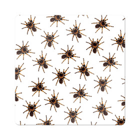 Магнит виниловый Квадрат с принтом В пауках в Белгороде, полимерный материал с магнитным слоем | размер 9*9 см, закругленные углы | pattern | spider | джунгли | дикие | животные | жуки | звери | лапы | мерзкие | монстр | насекомые | паттерн | паук | пауки | паутина | паучок | птицеед | страшный | существа | тараканы | тарантул | тропики