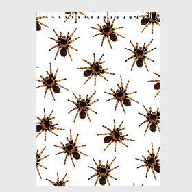 Скетчбук с принтом В пауках в Белгороде, 100% бумага
 | 48 листов, плотность листов — 100 г/м2, плотность картонной обложки — 250 г/м2. Листы скреплены сверху удобной пружинной спиралью | Тематика изображения на принте: pattern | spider | джунгли | дикие | животные | жуки | звери | лапы | мерзкие | монстр | насекомые | паттерн | паук | пауки | паутина | паучок | птицеед | страшный | существа | тараканы | тарантул | тропики