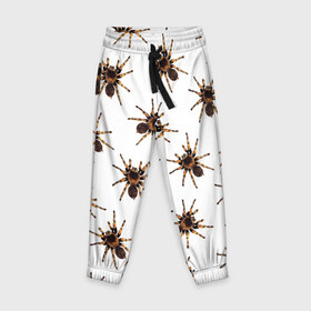 Детские брюки 3D с принтом В пауках в Белгороде, 100% полиэстер | манжеты по низу, эластичный пояс регулируется шнурком, по бокам два кармана без застежек, внутренняя часть кармана из мелкой сетки | pattern | spider | джунгли | дикие | животные | жуки | звери | лапы | мерзкие | монстр | насекомые | паттерн | паук | пауки | паутина | паучок | птицеед | страшный | существа | тараканы | тарантул | тропики