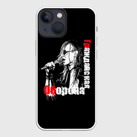 Чехол для iPhone 13 mini с принтом Гражданская оборона + Анархия в Белгороде,  |  | punk | punks not dead | анархия | гроб | егор | егор летов | летов | панк не сдох