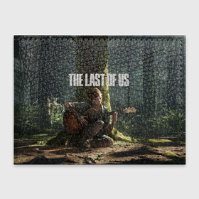 Обложка для студенческого билета с принтом The Last of Us 2 в Белгороде, натуральная кожа | Размер: 11*8 см; Печать на всей внешней стороне | action | the last of us | the last of us 2 | бродилка | игра | хоррор