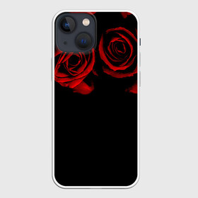 Чехол для iPhone 13 mini с принтом Готика в Белгороде,  |  | black | flowers | red | rose | rozario | vampire | алые | бутоны | вампир | винтаж | готический | красныерозы | кровь | лепестки | летний | лето | ночь | природа | растения | роза | розочка | розы | рок | темный | узор