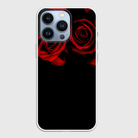 Чехол для iPhone 13 Pro с принтом Готика в Белгороде,  |  | black | flowers | red | rose | rozario | vampire | алые | бутоны | вампир | винтаж | готический | красныерозы | кровь | лепестки | летний | лето | ночь | природа | растения | роза | розочка | розы | рок | темный | узор