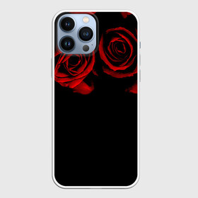 Чехол для iPhone 13 Pro Max с принтом Готика в Белгороде,  |  | black | flowers | red | rose | rozario | vampire | алые | бутоны | вампир | винтаж | готический | красныерозы | кровь | лепестки | летний | лето | ночь | природа | растения | роза | розочка | розы | рок | темный | узор