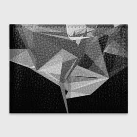 Обложка для студенческого билета с принтом Camo   Black  White в Белгороде, натуральная кожа | Размер: 11*8 см; Печать на всей внешней стороне | abstract | abstraction | color | geometry | polygon | polygonal | абстракция | геометрия | полигоны | психоделика
