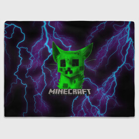 Плед 3D с принтом MINECRAFT CREEPER CAT  в Белгороде, 100% полиэстер | закругленные углы, все края обработаны. Ткань не мнется и не растягивается | Тематика изображения на принте: creeper | game | minecraft | блоки | игра | квадраты | компьютерная | крипер | криппер | майнкрафт | огонь