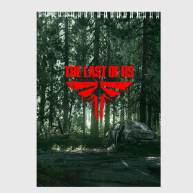 Скетчбук с принтом The Last of Us Part 2 в Белгороде, 100% бумага
 | 48 листов, плотность листов — 100 г/м2, плотность картонной обложки — 250 г/м2. Листы скреплены сверху удобной пружинной спиралью | cicadas | fireflies | naughty dog | the last of us | the last of us part 2 | джоэл | последние из нас | цикады | элли