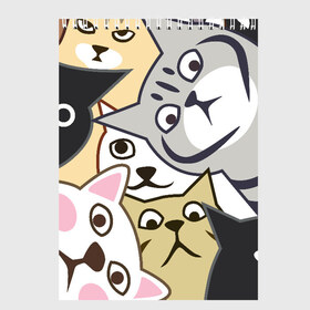 Скетчбук с принтом Котики Шпионы в Белгороде, 100% бумага
 | 48 листов, плотность листов — 100 г/м2, плотность картонной обложки — 250 г/м2. Листы скреплены сверху удобной пружинной спиралью | Тематика изображения на принте: anime | art | casual | cat | cats | cute | funny | kawaii | kitty | meme | memes | pussy | selfie | аниме | арт | животные | каваи | кавай | кот | коте | котик | котики | коты | кошка | кэжуал | мем | мемы | милота | приколы | прикольные | се