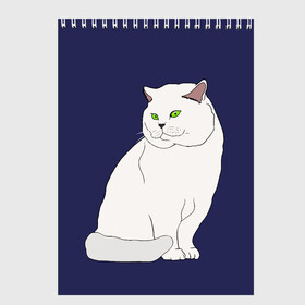 Скетчбук с принтом Белый британский котик в Белгороде, 100% бумага
 | 48 листов, плотность листов — 100 г/м2, плотность картонной обложки — 250 г/м2. Листы скреплены сверху удобной пружинной спиралью | cat | cute | kitten | meow | британец | британский | взгляд | друзья | животные | зверек | зверюшки | каваи | киска | котенок | котик | коты | котята | кошак | кошечки | кошки | лапы | милые | мордочка | мяу | няшные