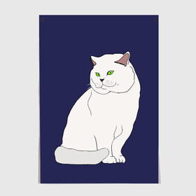 Постер с принтом Белый британский котик в Белгороде, 100% бумага
 | бумага, плотность 150 мг. Матовая, но за счет высокого коэффициента гладкости имеет небольшой блеск и дает на свету блики, но в отличии от глянцевой бумаги не покрыта лаком | cat | cute | kitten | meow | британец | британский | взгляд | друзья | животные | зверек | зверюшки | каваи | киска | котенок | котик | коты | котята | кошак | кошечки | кошки | лапы | милые | мордочка | мяу | няшные
