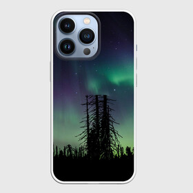 Чехол для iPhone 13 Pro с принтом Северное сияние в Белгороде,  |  | дерево | деревья | звезда | звездное | звезды | космический | космос | космосе | кусты | лес | леса | лесной | лучи | небо | ночное | ночь | природа | север | северное | сияние | сиянием | сияния