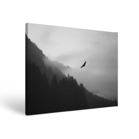 Холст прямоугольный с принтом ОРЁЛ НАД ЛЕСОМ в Белгороде, 100% ПВХ |  | bird | dark | fog | forest | heaven | jh k | ktc | sky | texture | деревья | животные | лес | небо | орел | природа | птица | птицы | текстуры | тёмный лес | туман