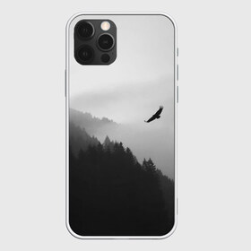Чехол для iPhone 12 Pro Max с принтом ОРЁЛ НАД ЛЕСОМ в Белгороде, Силикон |  | bird | dark | fog | forest | heaven | jh k | ktc | sky | texture | деревья | животные | лес | небо | орел | природа | птица | птицы | текстуры | тёмный лес | туман