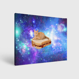 Холст прямоугольный с принтом Кот в космосе в Белгороде, 100% ПВХ |  | cat | cats | space | бутерброд | грозовой кошак | джем | киса | киска | космос | кошак | кошка