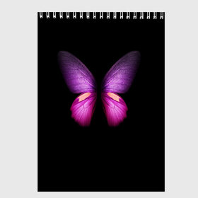 Скетчбук с принтом Butterfly в Белгороде, 100% бумага
 | 48 листов, плотность листов — 100 г/м2, плотность картонной обложки — 250 г/м2. Листы скреплены сверху удобной пружинной спиралью | butterfly | арт | бабочка | крылья | насекомые | фауна
