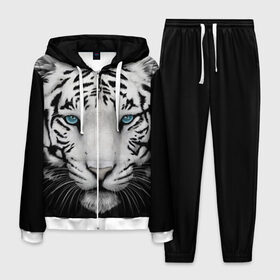 Мужской костюм 3D с принтом тигр в Белгороде, 100% полиэстер | Манжеты и пояс оформлены тканевой резинкой, двухслойный капюшон со шнурком для регулировки, карманы спереди | белый тигр | тигр