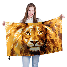 Флаг 3D с принтом Взгляд льва в Белгороде, 100% полиэстер | плотность ткани — 95 г/м2, размер — 67 х 109 см. Принт наносится с одной стороны | арт | грива | деко | жедтая | животные | закат | зверей | золото | кошка | лев | лето | львенок | неоновая | очки | пляж | прайд | разноцветная | солнце | тигр | узоры | царь | яркие