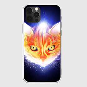 Чехол для iPhone 12 Pro Max с принтом Сеяющий кот в Белгороде, Силикон |  | звёзды | кот | сеяние | чёрный фон