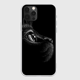 Чехол для iPhone 12 Pro Max с принтом Черный кот в Белгороде, Силикон |  | black | cat | eyes | kitten | kitty | pussy | pussycat | взгляд | глаз | глаза | кот | кота | котенок | коты | котят | котята | котячьи | кошачьи | кошка | кошки | мордочка | нос | носик | с котом | усатый | усики | усища | усищи | че