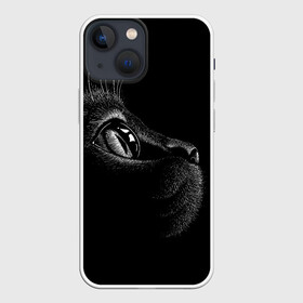 Чехол для iPhone 13 mini с принтом Черный кот в Белгороде,  |  | black | cat | eyes | kitten | kitty | pussy | pussycat | взгляд | глаз | глаза | кот | кота | котенок | коты | котят | котята | котячьи | кошачьи | кошка | кошки | мордочка | нос | носик | с котом | усатый | усики | усища | усищи | че