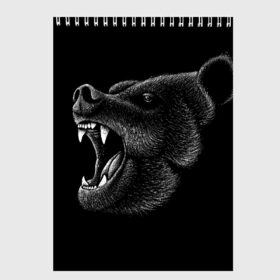 Скетчбук с принтом Черный медведь в Белгороде, 100% бумага
 | 48 листов, плотность листов — 100 г/м2, плотность картонной обложки — 250 г/м2. Листы скреплены сверху удобной пружинной спиралью | art | bear | bears | drawing | russian | siberia | siberian | арт | белый | бурый | злой | зубы | косолапый | медведь | мелками | мелком | мелом | мех | миша | мишка | нарисованный | пасть | потапыч | рисунок | русский | рык | рычит
