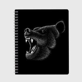 Тетрадь с принтом Черный медведь в Белгороде, 100% бумага | 48 листов, плотность листов — 60 г/м2, плотность картонной обложки — 250 г/м2. Листы скреплены сбоку удобной пружинной спиралью. Уголки страниц и обложки скругленные. Цвет линий — светло-серый
 | art | bear | bears | drawing | russian | siberia | siberian | арт | белый | бурый | злой | зубы | косолапый | медведь | мелками | мелком | мелом | мех | миша | мишка | нарисованный | пасть | потапыч | рисунок | русский | рык | рычит