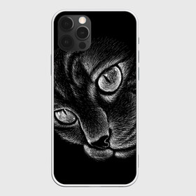 Чехол для iPhone 12 Pro с принтом Волшебный кот в Белгороде, силикон | область печати: задняя сторона чехла, без боковых панелей | Тематика изображения на принте: black | cat | eyes | kitten | kitty | pussy | pussycat | взгляд | глаз | глаза | кот | кота | котенок | коты | котят | котята | котячьи | кошачьи | кошка | кошки | мордочка | нос | носик | с котом | усатый | усики | усища | усищи | че