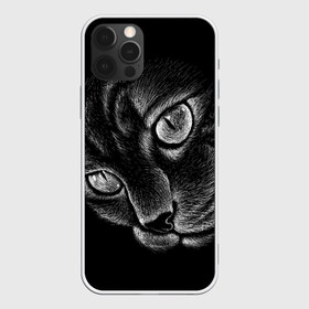 Чехол для iPhone 12 Pro Max с принтом Волшебный кот в Белгороде, Силикон |  | Тематика изображения на принте: black | cat | eyes | kitten | kitty | pussy | pussycat | взгляд | глаз | глаза | кот | кота | котенок | коты | котят | котята | котячьи | кошачьи | кошка | кошки | мордочка | нос | носик | с котом | усатый | усики | усища | усищи | че