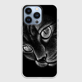 Чехол для iPhone 13 Pro с принтом Волшебный кот в Белгороде,  |  | Тематика изображения на принте: black | cat | eyes | kitten | kitty | pussy | pussycat | взгляд | глаз | глаза | кот | кота | котенок | коты | котят | котята | котячьи | кошачьи | кошка | кошки | мордочка | нос | носик | с котом | усатый | усики | усища | усищи | че