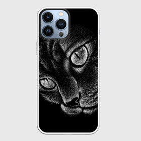 Чехол для iPhone 13 Pro Max с принтом Волшебный кот в Белгороде,  |  | Тематика изображения на принте: black | cat | eyes | kitten | kitty | pussy | pussycat | взгляд | глаз | глаза | кот | кота | котенок | коты | котят | котята | котячьи | кошачьи | кошка | кошки | мордочка | нос | носик | с котом | усатый | усики | усища | усищи | че