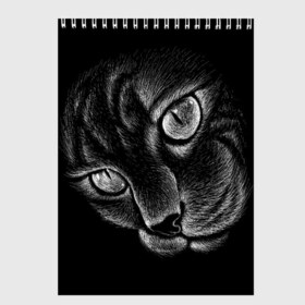 Скетчбук с принтом Волшебный кот в Белгороде, 100% бумага
 | 48 листов, плотность листов — 100 г/м2, плотность картонной обложки — 250 г/м2. Листы скреплены сверху удобной пружинной спиралью | black | cat | eyes | kitten | kitty | pussy | pussycat | взгляд | глаз | глаза | кот | кота | котенок | коты | котят | котята | котячьи | кошачьи | кошка | кошки | мордочка | нос | носик | с котом | усатый | усики | усища | усищи | че