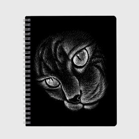 Тетрадь с принтом Волшебный кот в Белгороде, 100% бумага | 48 листов, плотность листов — 60 г/м2, плотность картонной обложки — 250 г/м2. Листы скреплены сбоку удобной пружинной спиралью. Уголки страниц и обложки скругленные. Цвет линий — светло-серый
 | Тематика изображения на принте: black | cat | eyes | kitten | kitty | pussy | pussycat | взгляд | глаз | глаза | кот | кота | котенок | коты | котят | котята | котячьи | кошачьи | кошка | кошки | мордочка | нос | носик | с котом | усатый | усики | усища | усищи | че