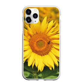 Чехол для iPhone 11 Pro Max матовый с принтом Подсолнух в Белгороде, Силикон |  | подсолнух | подсолнухи | природа | растение | растения | флора | фотография | цвет | цветами | цветов | цветок | цветочек | цветочки | цветочные | цветочный | цветы